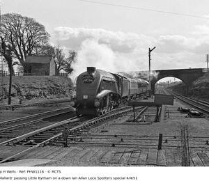 PHW1116