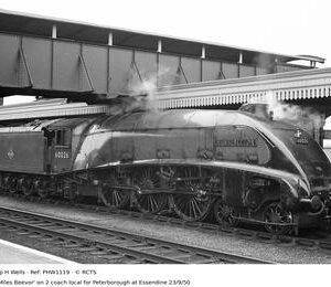 PHW1119
