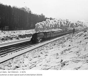 PHW1121