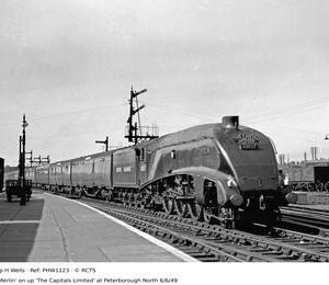 PHW1123