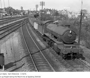 PHW1216