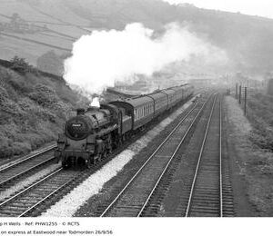 PHW1255