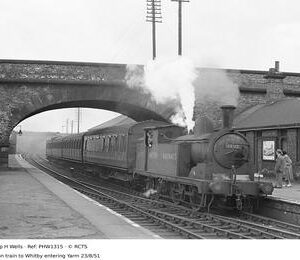 PHW1315