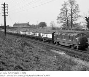 PHW1603