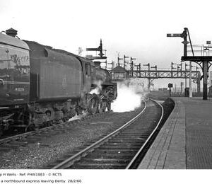 PHW1983