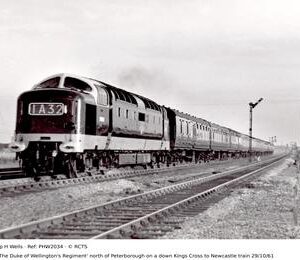 PHW2034