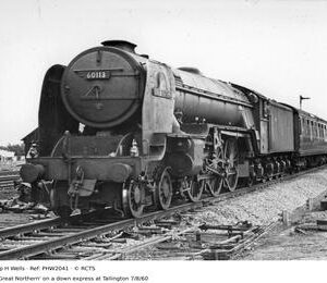 PHW2041