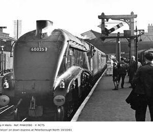 PHW2080
