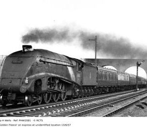 PHW2081