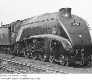 PHW2083