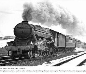 PHW2161