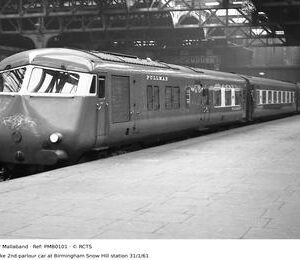 PMB0101