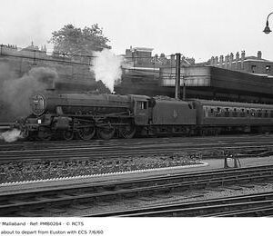 PMB0264