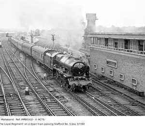PMB0310