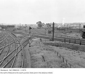 PMB0319