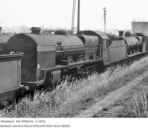 PMB0351