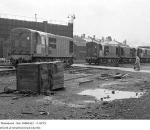 PMB0361