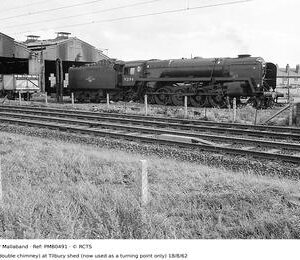 PMB0491