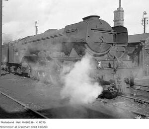 PMB0536