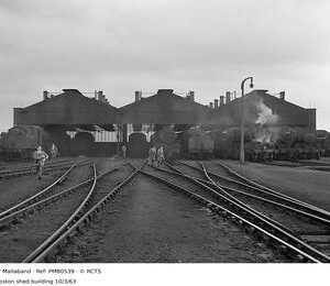 PMB0539