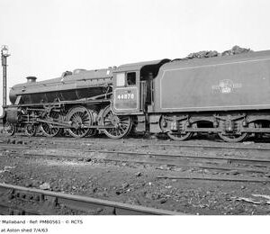 PMB0561