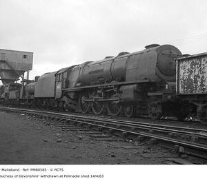 PMB0585