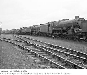 PMB0589