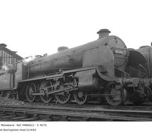 PMB0611