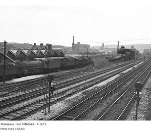 PMB0619