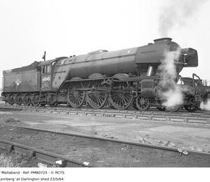 PMB0725