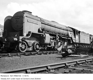 PMB0736