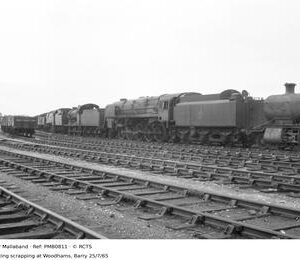 PMB0811
