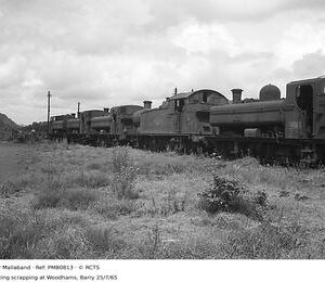 PMB0813