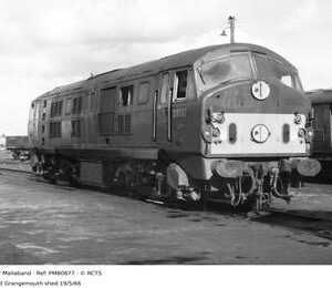 PMB0877