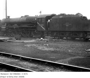 PMB0883