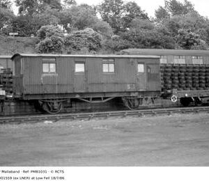PMB1031