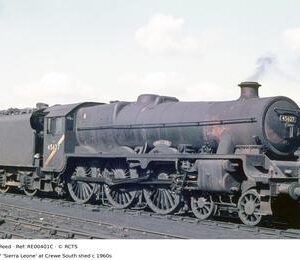 RE00401C