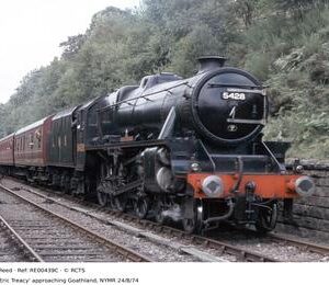 RE00439C