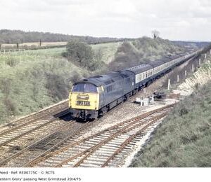 RE00775C