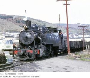 RE01006C