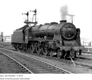 RE01081
