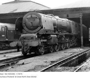 RE01095