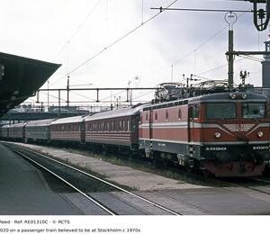 RE01310C