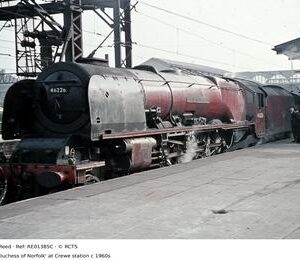 RE01385C