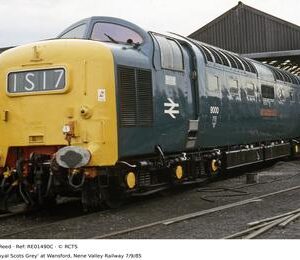 RE01490C