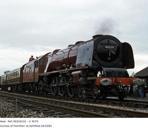 RE01621C