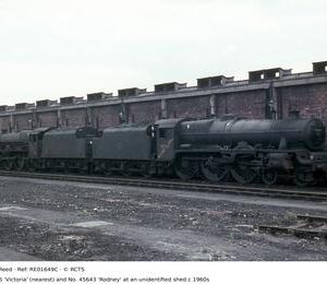 RE01649C