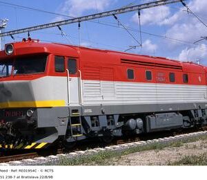 RE01954C