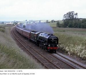 RE01975C