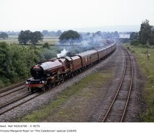 RE01979C